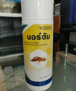นอร์ตัน