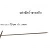 แท่งอัดน้ำยาลงดิน