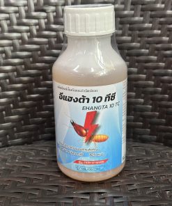 อีแฮงต้า 10 ทีซี