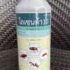 โลเซนต้า10